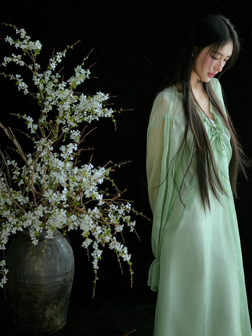 중국 스타일의 녹색 드레스 전통적이고 현대적인 개조된  - Ethnic Fashion Studio 리뷰 및 가격