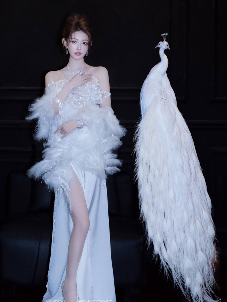 세련된 시스루 의류 섹시한 여성 고급 분위기 개인 스튜 - Ethnic Fashion Studio 리뷰 및 가격